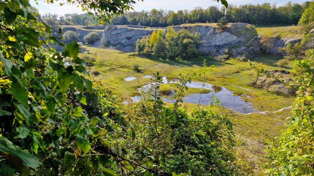 Blick auf ein Gewässer im alten Kalkloch