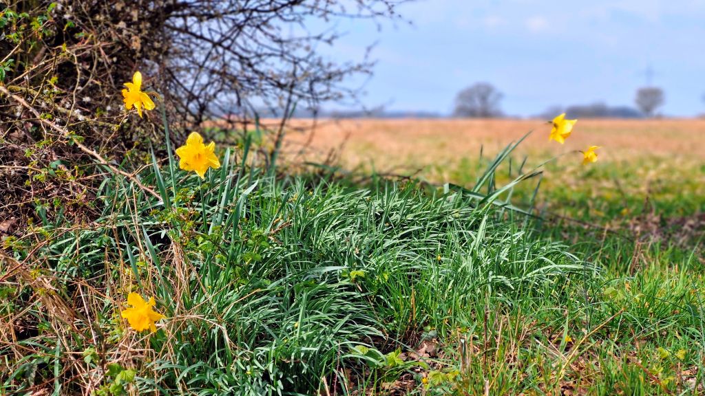 Allgemeine Informationen